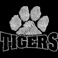 GLT32 SILVER GLITTER Thumbnail